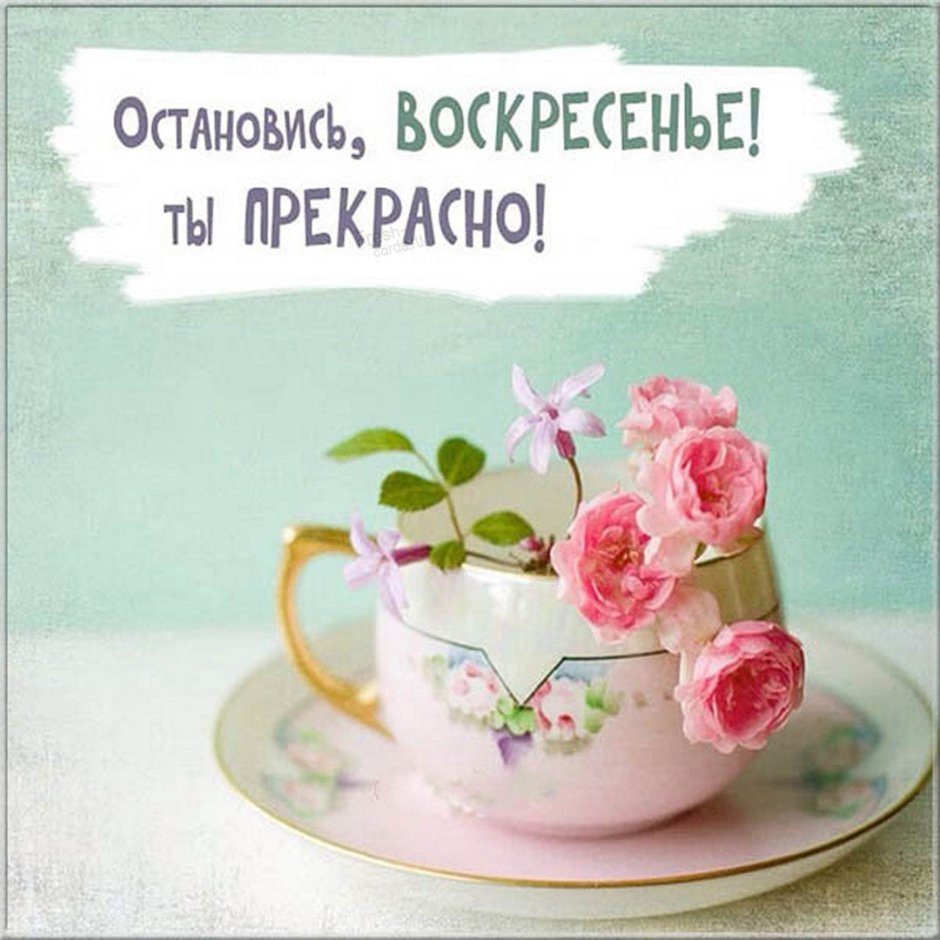 Доброе утро и хорошего дня стильные