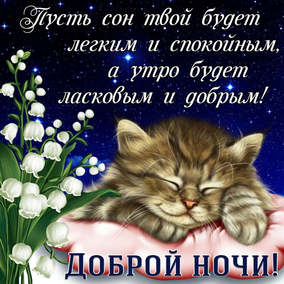 Хорошей ночи и приятных снов