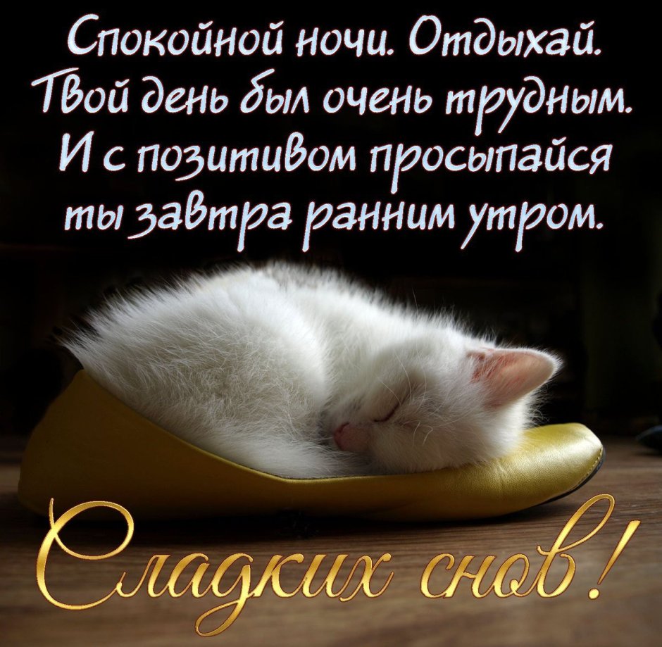 Спокойной ночи Верочка