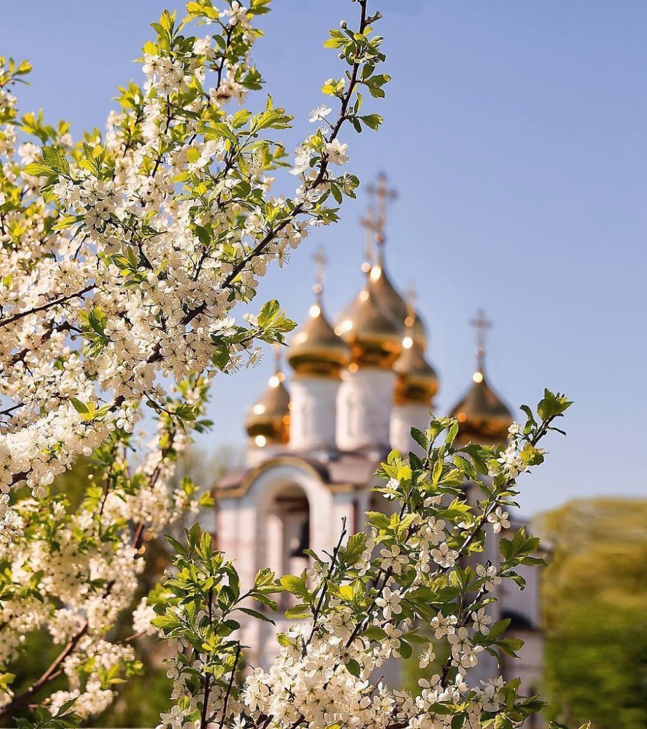 Храм Весна