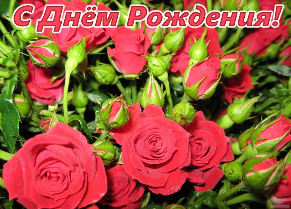 С днем рождения
