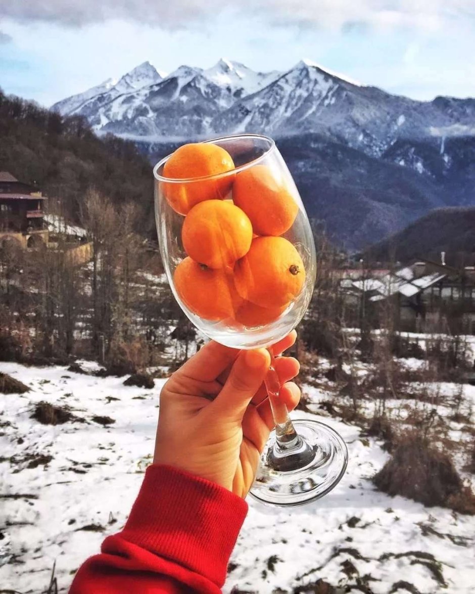 Гагра Абхазия зимой мандарины