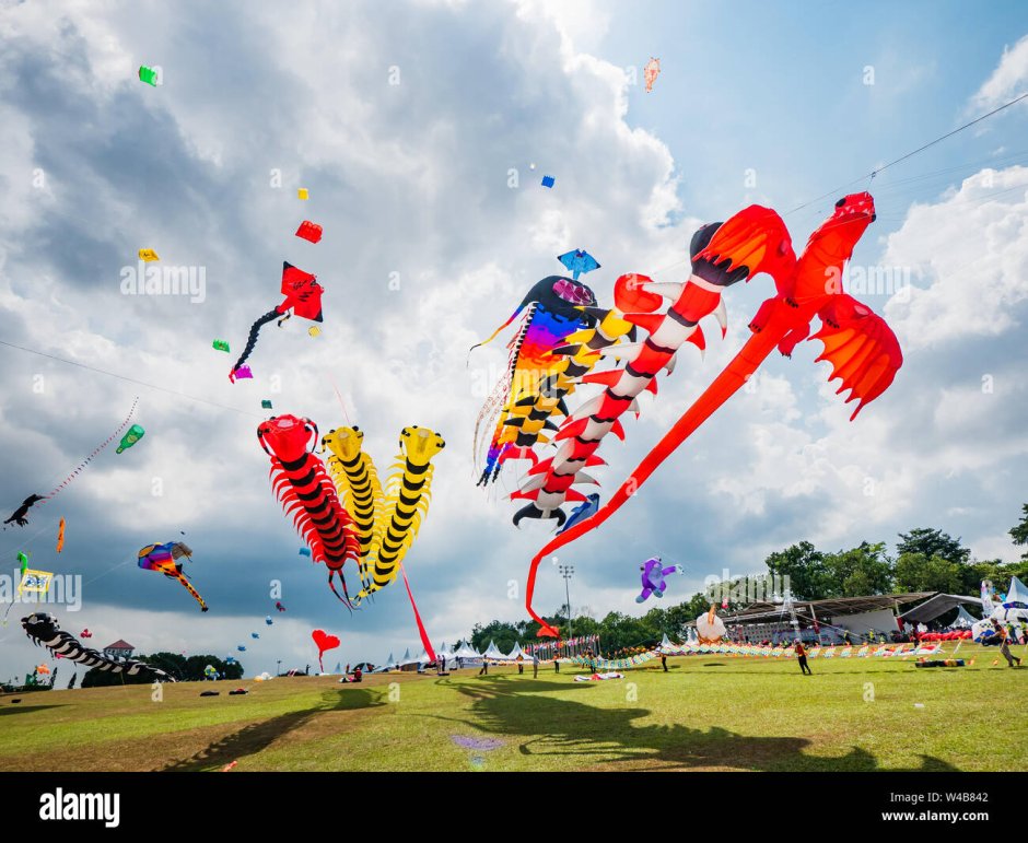 Фестиваль воздушных змеев, Вэйфан, Китай.