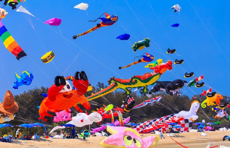 The Blossom Kite Festival