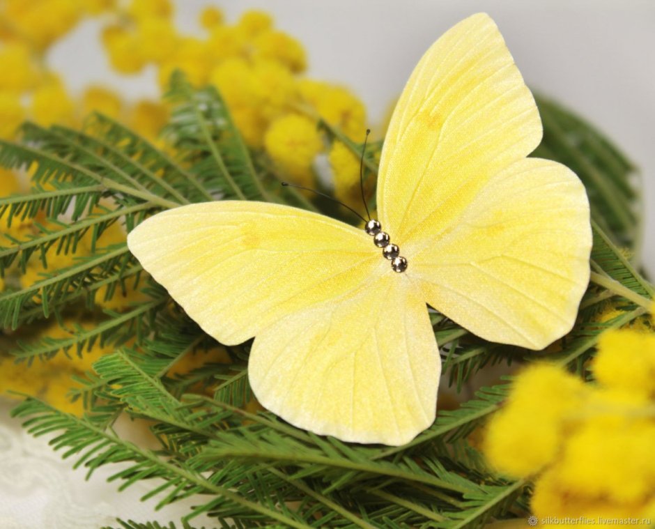 Желтая бабочка найк