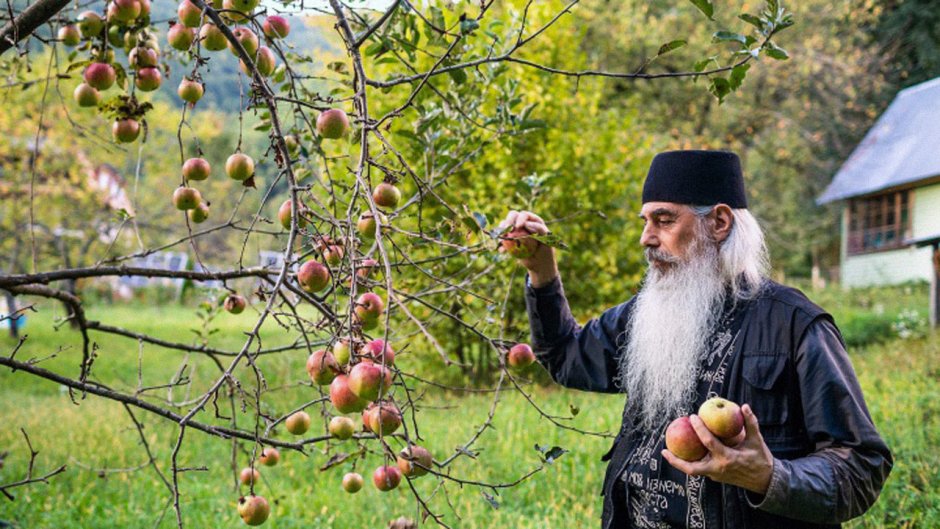 Оптина пустынь план монастыря