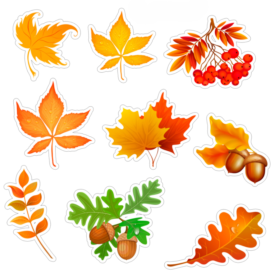 Осенние листья картинки для оформления