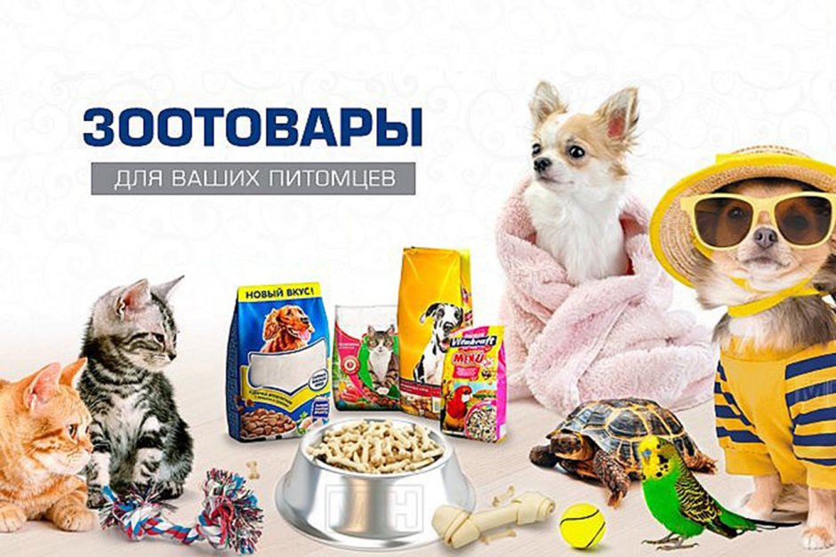 Зоотовары для животных