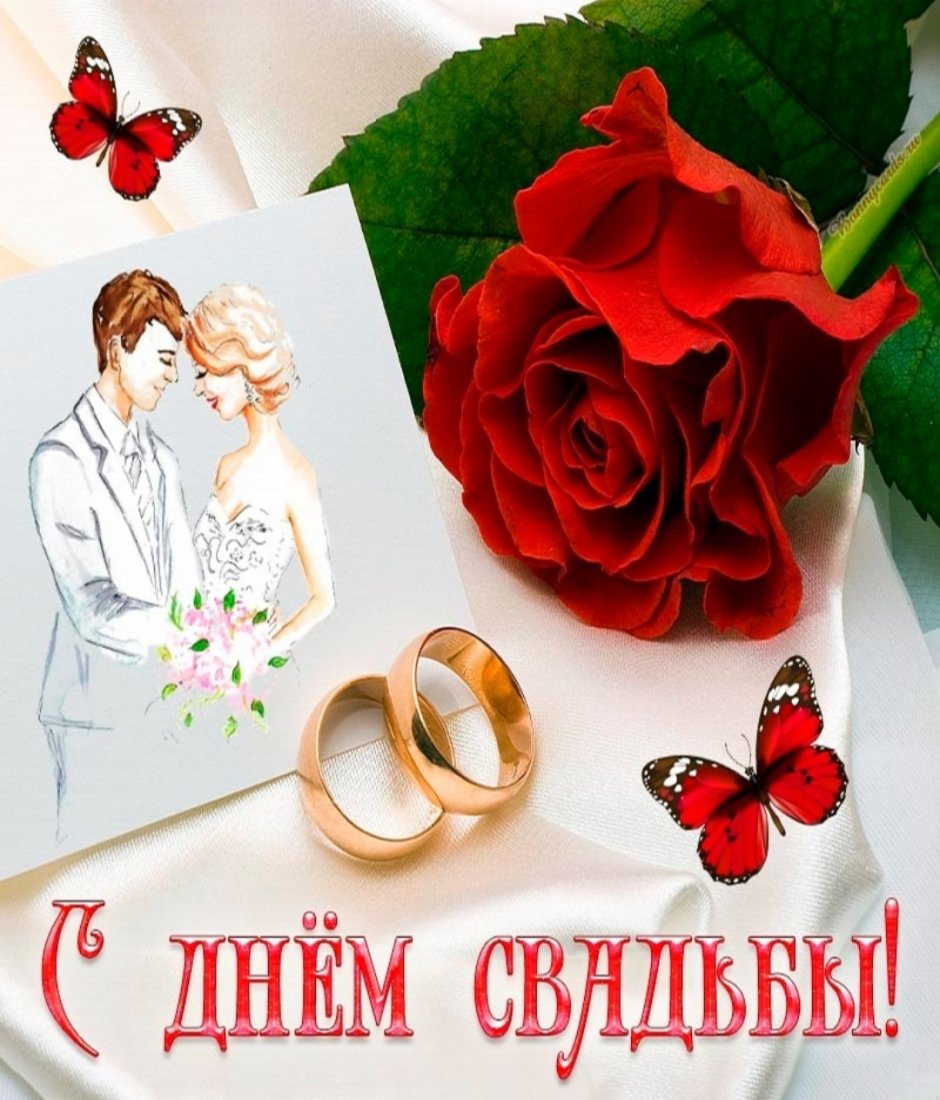 Свадебные кольца на цветах