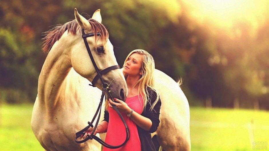 Девушка и белая лошадь