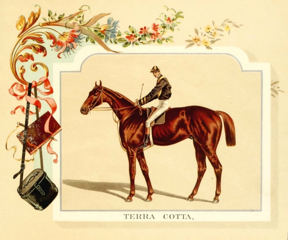 Стильная открытки с лошадьми