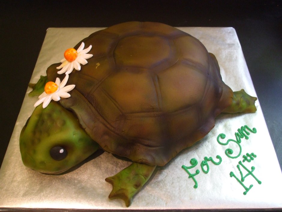 Торт в форме черепахи