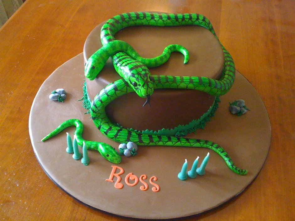 Торт в форме змеи
