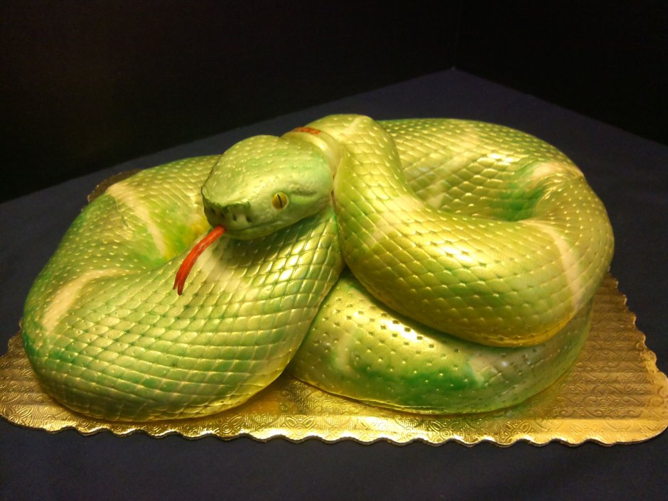 Торт в виде змейки