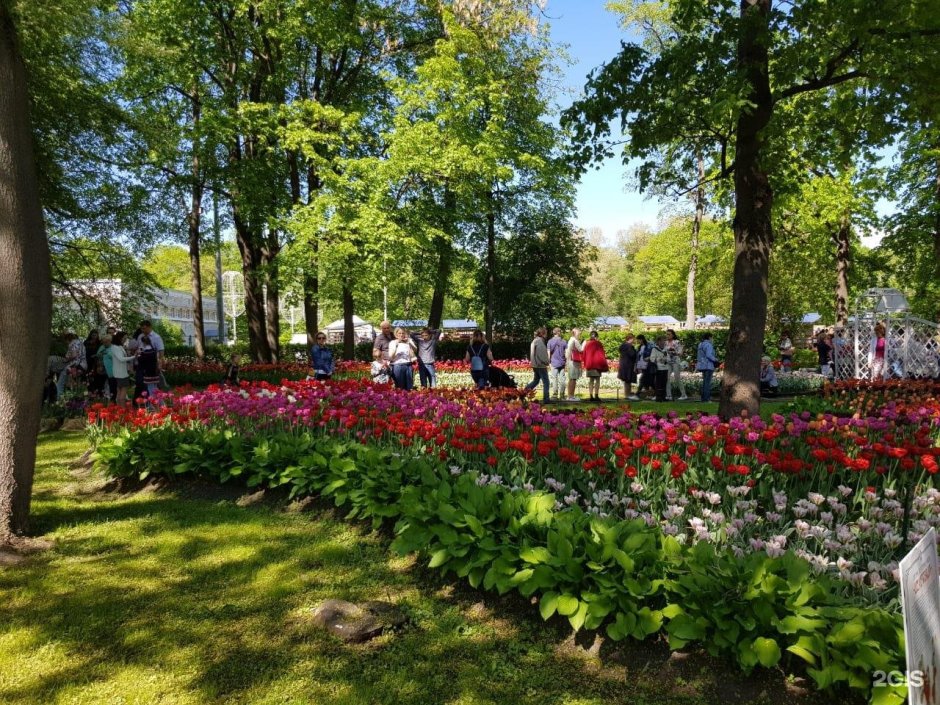 Парк Елагин остров Санкт-Петербург