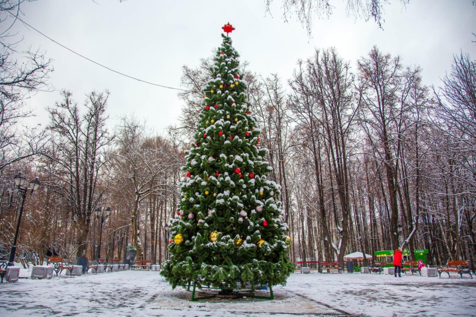 «Усадьба Деда Мороза» Новокузнецк