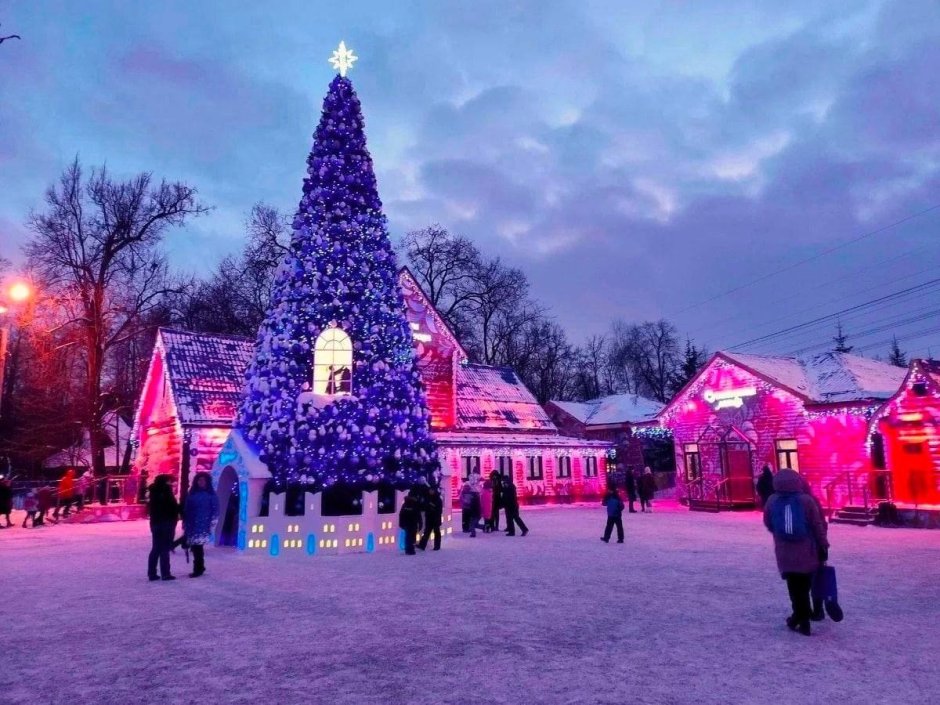 Парк Кузьминки зимой 2020