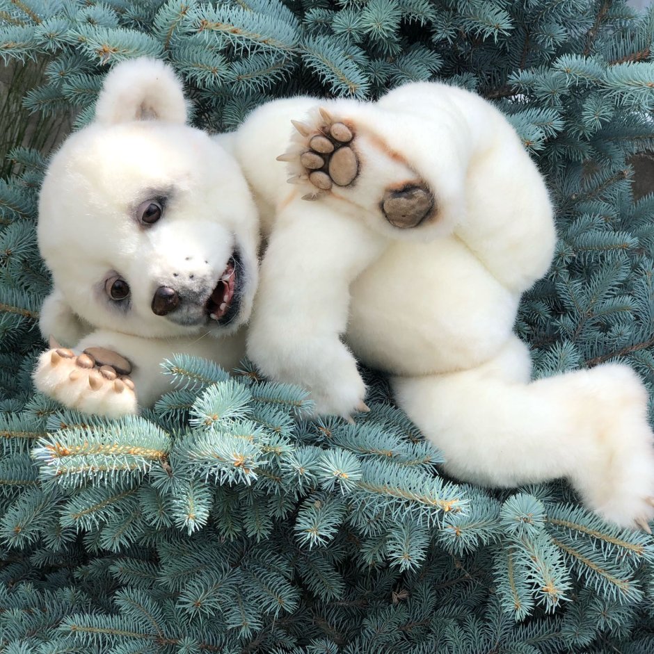 Белый медведь новый год