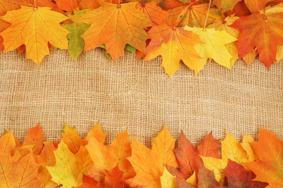 Осенняя композиция из тыквы