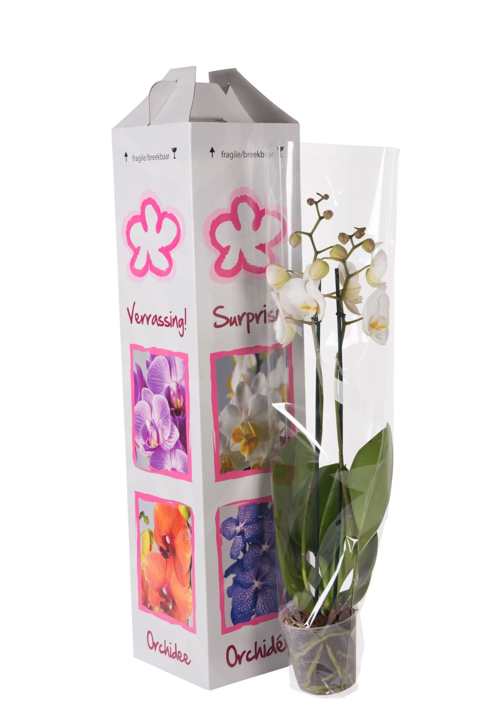 Упаковка орхидеи в горшке