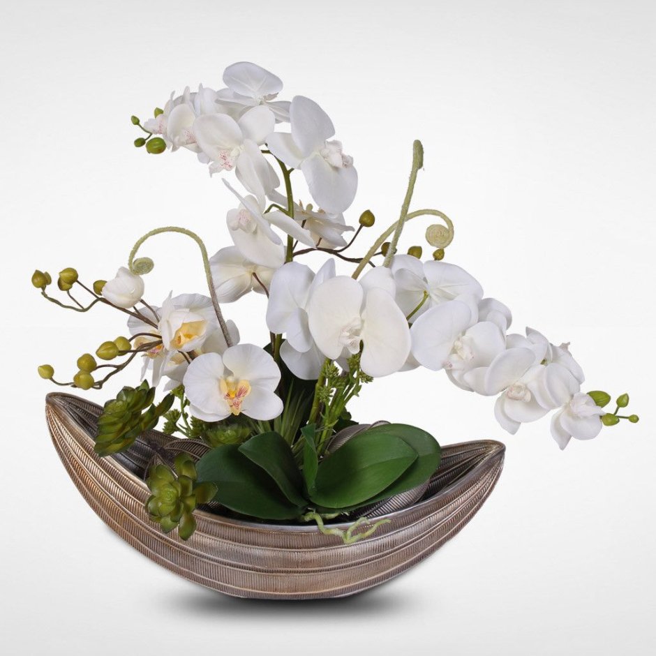 Орхидея фэнтези