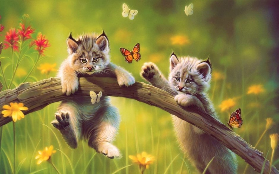 Котик с бабочкой на природе