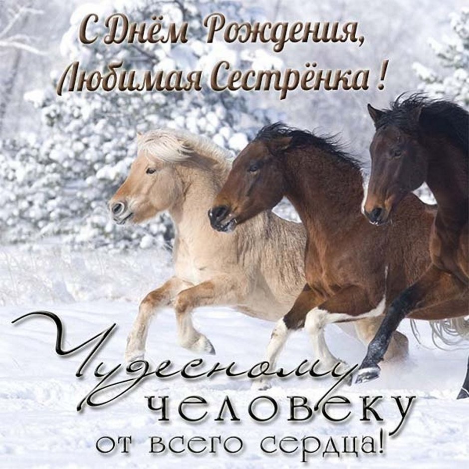 Лошади поздравление открытка