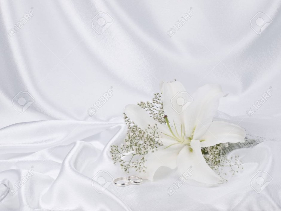 Белый свадебный фон
