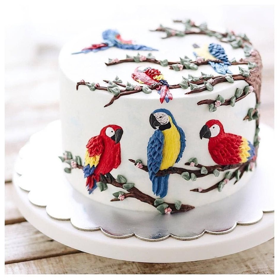 Райская птичка торт