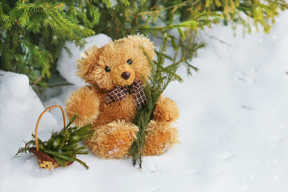 Мишка Тедди на снегу