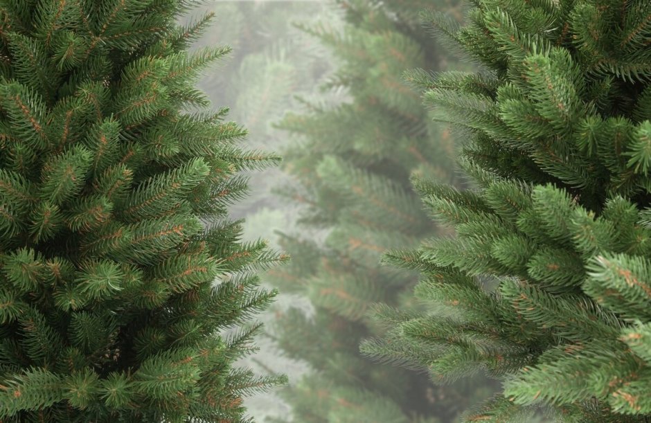 Против вырубки елок на новый год