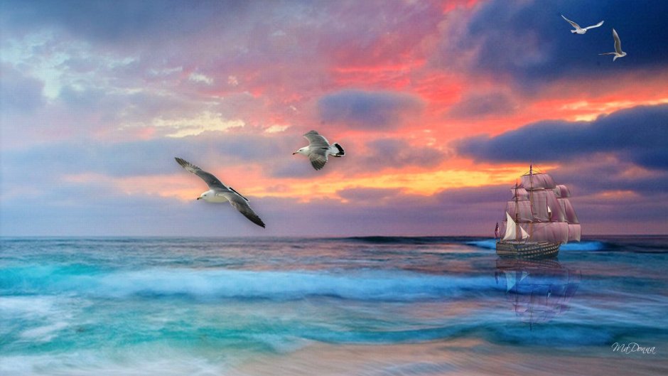 Чайки, корабль и море