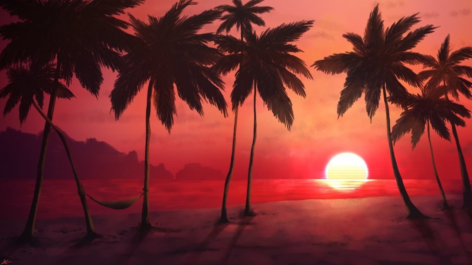 Хотлайр Майами пальмы закат