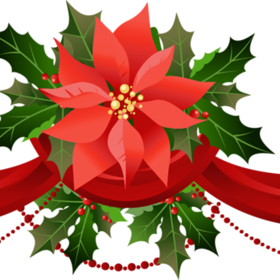 Рождественский цветок пуансетия нарисовать