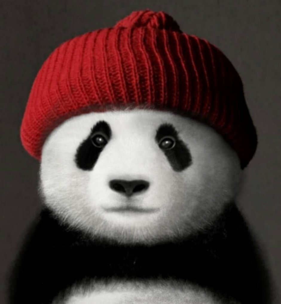 Панда в новогодней шапке
