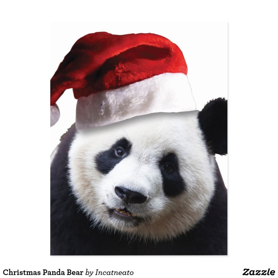 Новогодняя мультяшная Панда