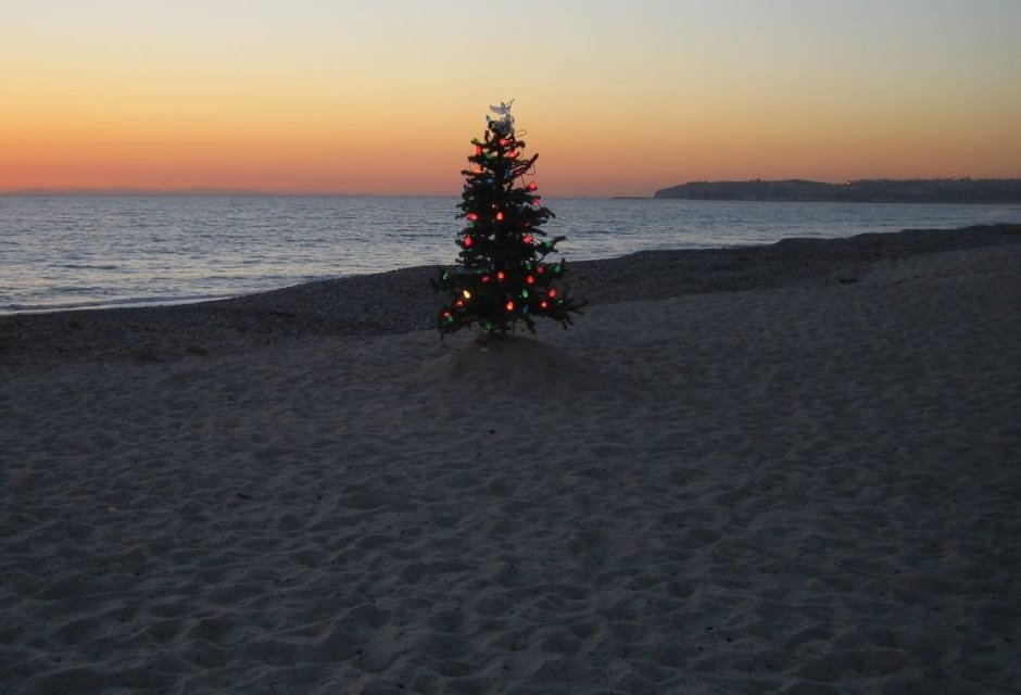 Новогодняя елка на море