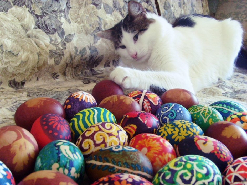 Кот и пасхальные яйца