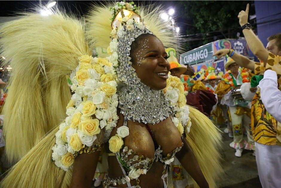 Карнавал Рио де Жанейро 2013