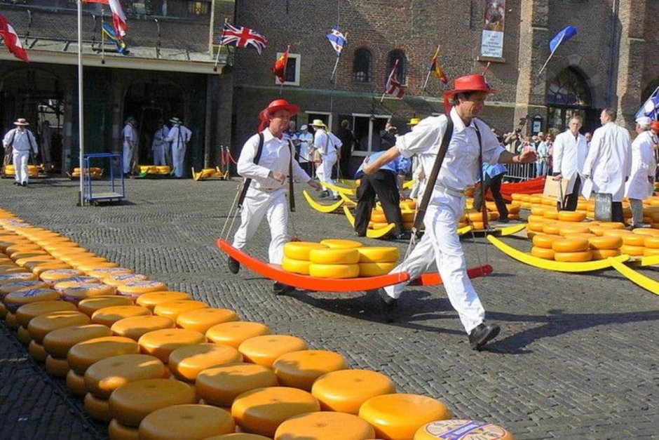 Фестиваль сыра в Голландии Алкмаре