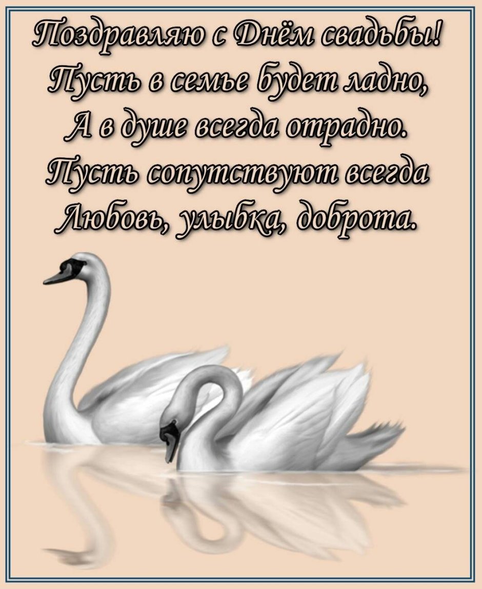 Поздравления молодоженам в день свадьбы прикольные
