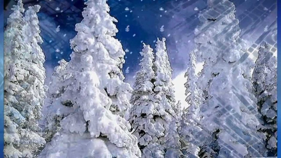 Сказочный зимний лес живые