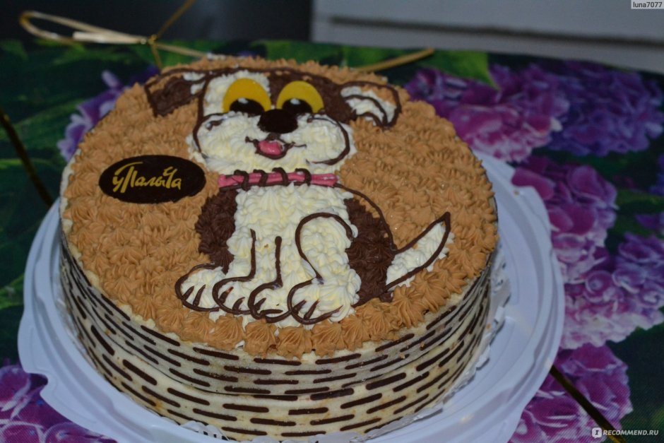 Торт от Палыча зоопарк собачка