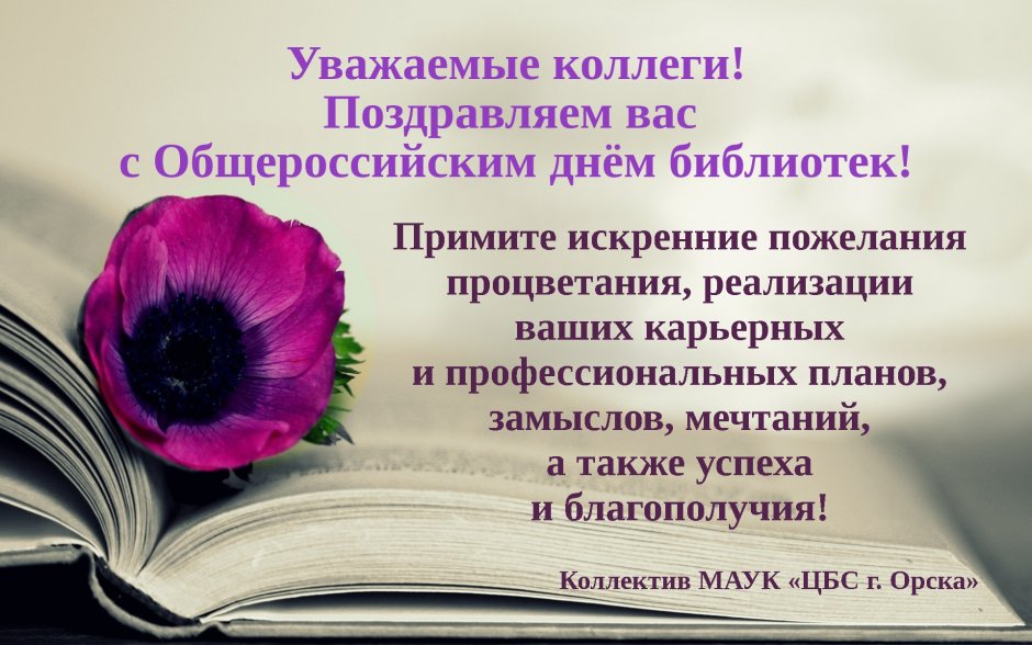 27 Мая Всероссийский день библиотек