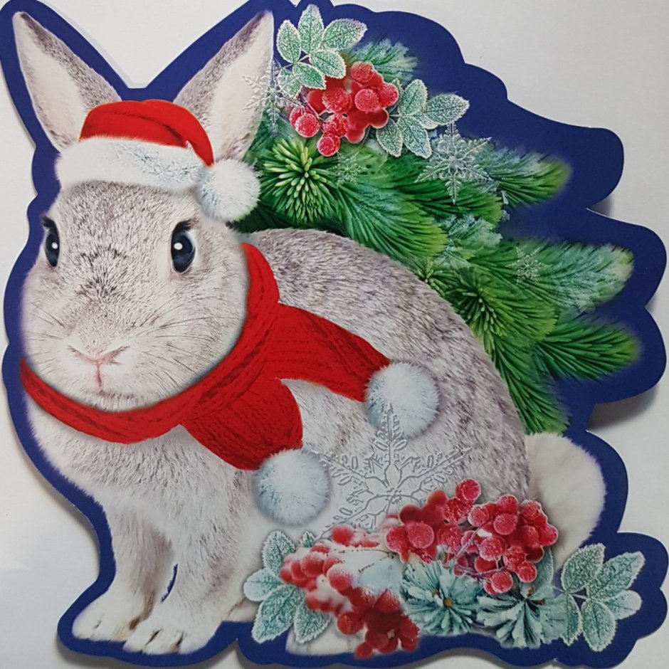 Объемная открытка заяц