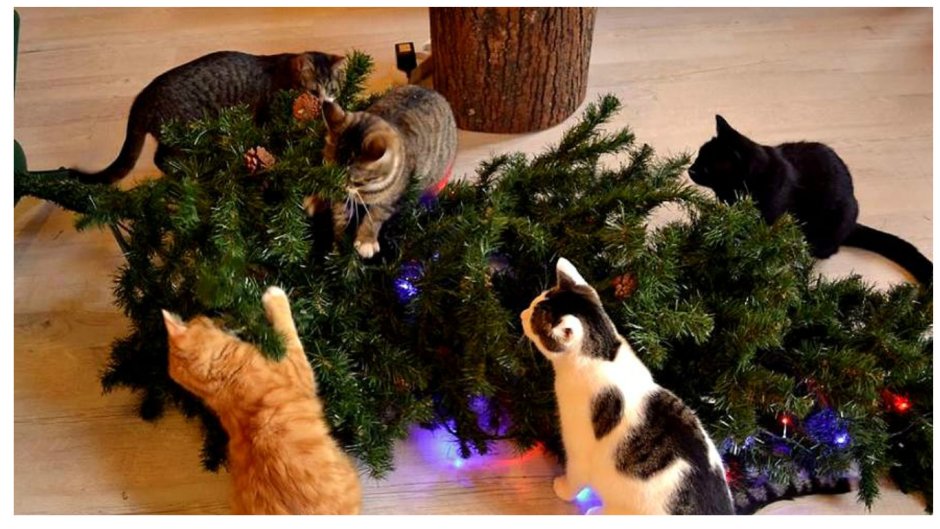 Котики смешные с елкой