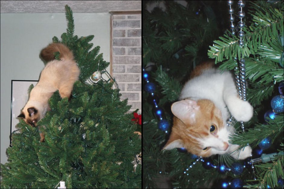 Кошка украшает елку