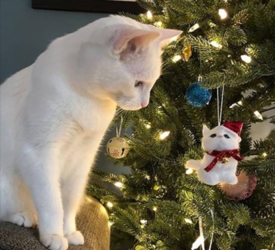 Кот под елкой