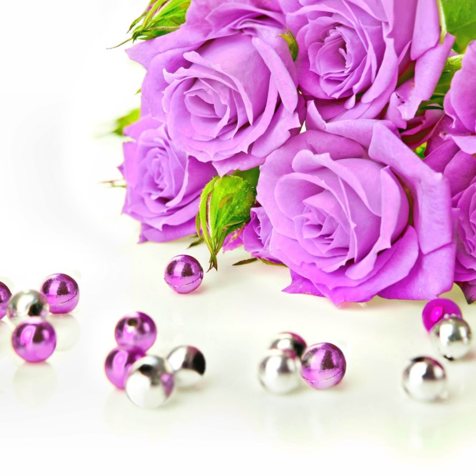 Фиолетовые розы и жемчуг
