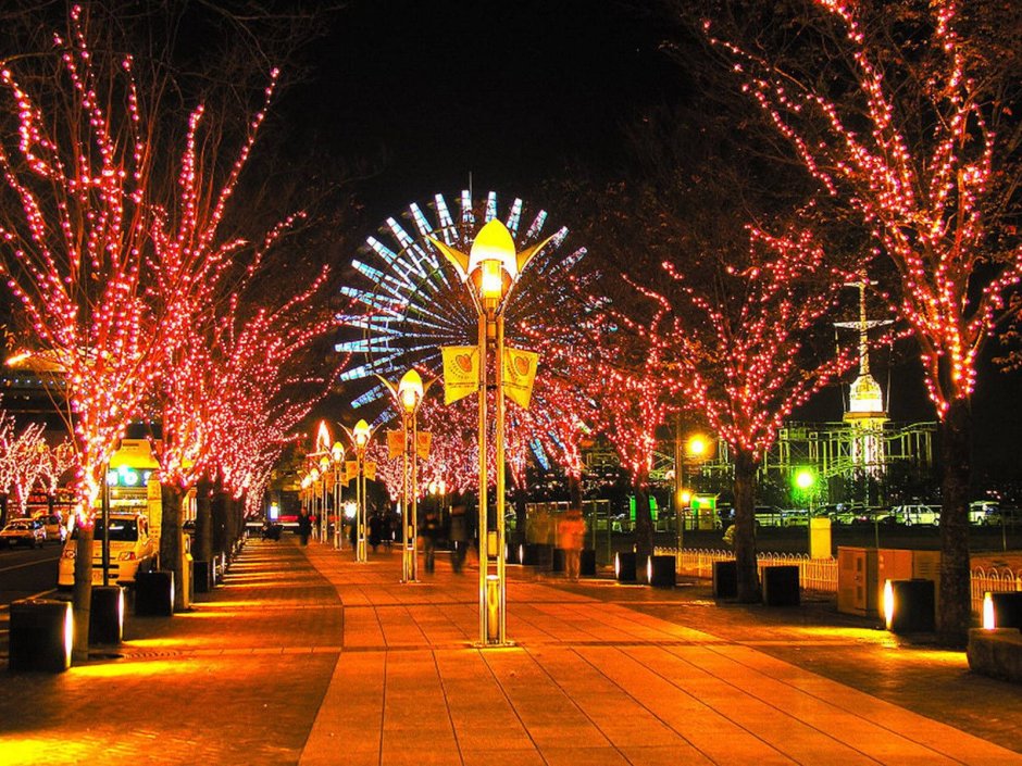 Новогодняя иллюминация Токио Япония￼